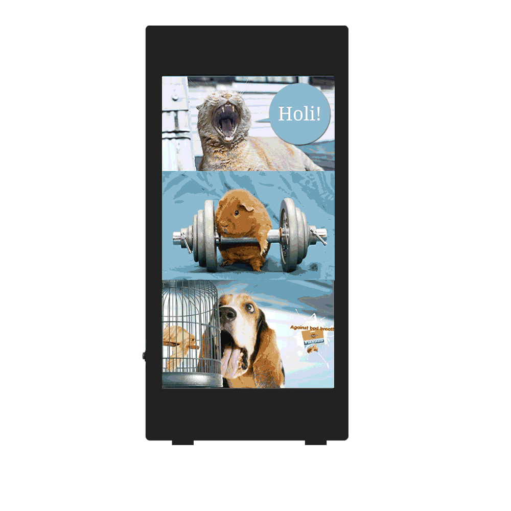 MULTI SCREEN USE